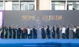 东莞莞城新闻爆料事件,真相追踪与舆论反响