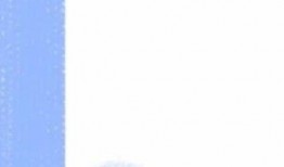 明星爆料视频素材无水印,无水印视频素材背后的故事