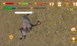 孤岛生存爆料怎么做视频,打造生存挑战视频攻略解析